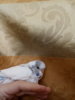 20180208_122044.jpg