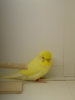 20180208_123227.jpg
