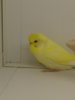 20180208_123448.jpg