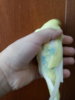 20180210_134040.jpg