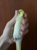 20180210_133949.jpg
