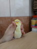 20180210_134307.jpg