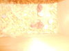 DSCN2401.JPG