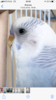 B984B5D7-F7CC-4D0A-9700-D784B1E3A5BC.png