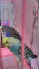 IMG_20180219_131036.jpg