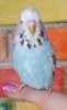 IMG_20180219_151535.jpg