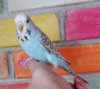 IMG_20180219_151227.jpg