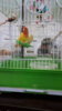 IMG-20180213-WA0012.jpeg