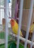 20180221_153454.jpg