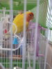 20180221_162638.jpg