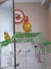20180221_163840.jpg