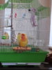 20180221_163457.jpg