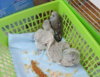 DSCN8803.jpg