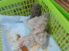 DSCN8798.jpg