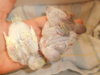 DSCN2433.JPG