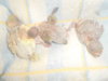 DSCN2425.JPG