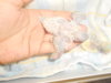 DSCN2432.JPG