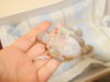 DSCN2430.JPG