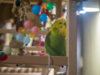 _2090155@0,25x.jpg