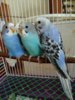 IMG_20180225_164231.jpg