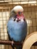 20180228_230320.jpg