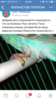 IMG_3362.PNG