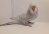 20180303_132824.png