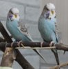 IMG_3886.JPG