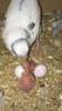 C9BA39CC-6D59-4D24-81EB-773122D37236.png