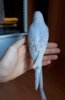 20180304_121949.jpg