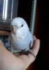 20180304_121926.jpg