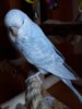 20180304_122300.jpg