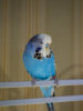 _2250086@0,25x.jpg