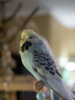 _2250072@0,25x.jpg