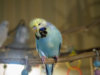 _2250063@0,25x.jpg