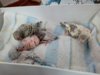 IMG-20180304-WA0001.jpg