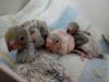 IMG-20180304-WA0002.jpg