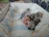 IMG-20180304-WA0003.jpg