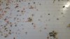 IMG-20180306-WA0002.jpg