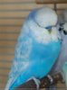 2018-03-07_175344.jpg