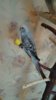 IMG-20180309-WA0005.jpeg