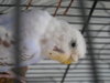 DSCN9773.JPG