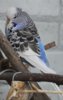 IMG_4267.JPG