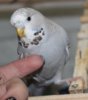 IMG_4248.JPG