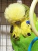 20180311_180156.jpg