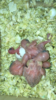 A6CE58AF-F0FD-45EC-923A-359D8F118267.png