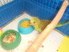DSCN2536.JPG