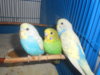 DSCN2545.JPG