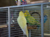 _3080121@0,25x.jpg