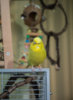 _3080071@0,25x.jpg